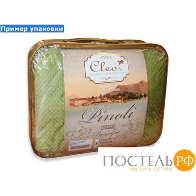 Плед Cleo "PINOLI" велсофт евро 200*220 200/015-PN