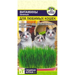 Зеленые Витамины для Любимых Кошек