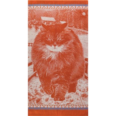 Полотенце махровое Сибирский кот