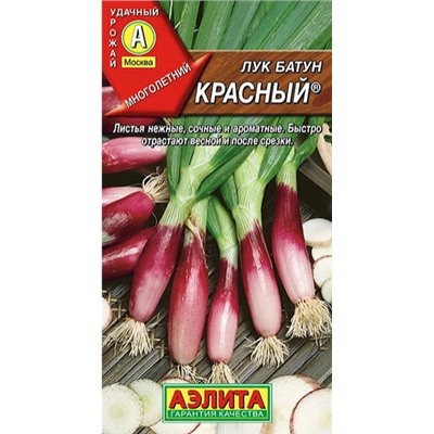 Лук батун Красный