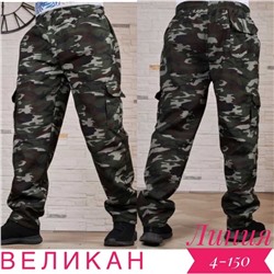 Штаны мужские Камуфляж Состав: Cotton 100%