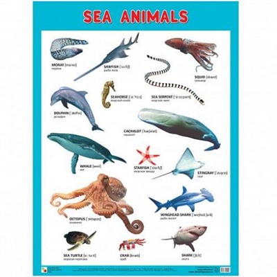 ШколаСемиГномов Плакат. Морские обитатели=Sea Animals (А2), (Мозаика-Синтез, 2018), Л, c.1