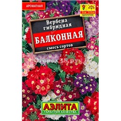 Вербена Балконная смесь сортов 40шт (Лидер)