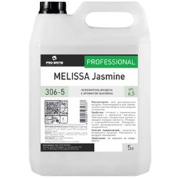 Освежитель воздуха Pro-Brite (Про-Брайт) Melissa Jasmine 306-5, 5 л