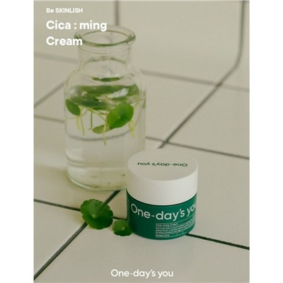One-days you Крем для лица с экстрактом центеллы / Cica:ming Cream, 50 мл