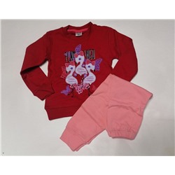 Пижама 236388 2d085-c красный/розовый