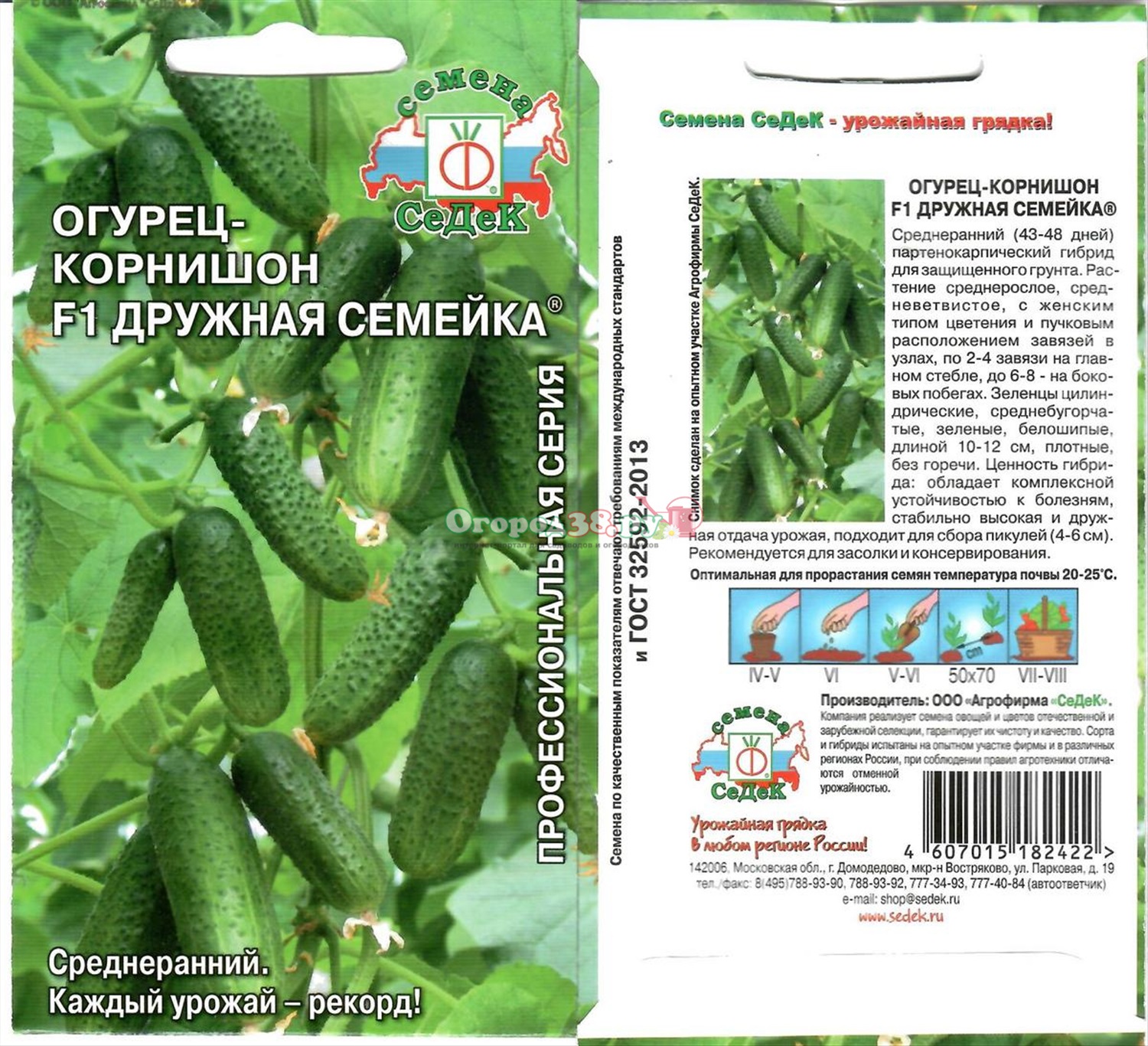 Какие огурцы для засолки хорошие сорта