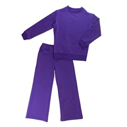 Спортивный костюм 2730/1 фиолетовый, 2хн