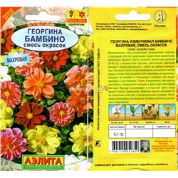 Георгина Бамбино Смесь махровая 7шт  (35-40см)