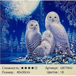 _Алмазная мозаика на подрамнике /30х40см./, " Полярные совы " арт.GB77842, 24-728