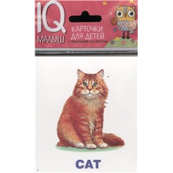 :*Игр(Айрис) IQ-Малыш Домашние питомцы. Pets. English. (Ходюшина Н.П.)