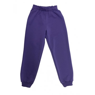 Спортивные штаны 381/30 фиолетовые, 2хн