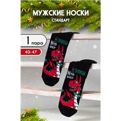 Носки Гудвин мужские