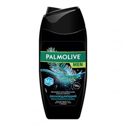 Гель для душа Palmolive (Палмолив) Мужской Охлаждающий Расслабление мышц 4 в 1, 250 мл