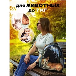 ПЕРЕНОСКА ДЛЯ ЖИВОТНЫХ, код 2458399