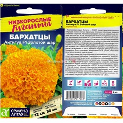 Бархатцы Антигуа Золотой шар 5шт (Низкорослые гиганты)