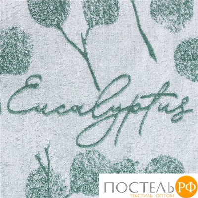 Полотенце махровое Этель Eucalyptus, 70х130 см, 100% хлопок, 420гр/м2 7321674