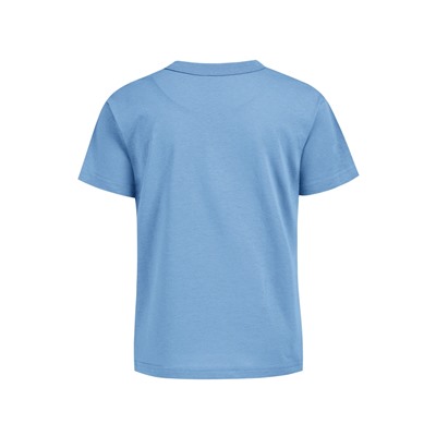 футболка 1ДДФК4327001; серо-голубой250 / Черный пушок