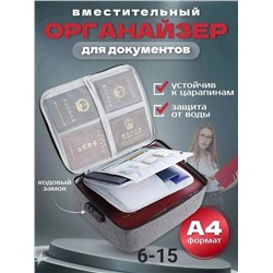 ОРГАНАЙЗЕР ДЛЯ ХРАНЕНИЯ ДОКУМЕНТОВ, код 6642873